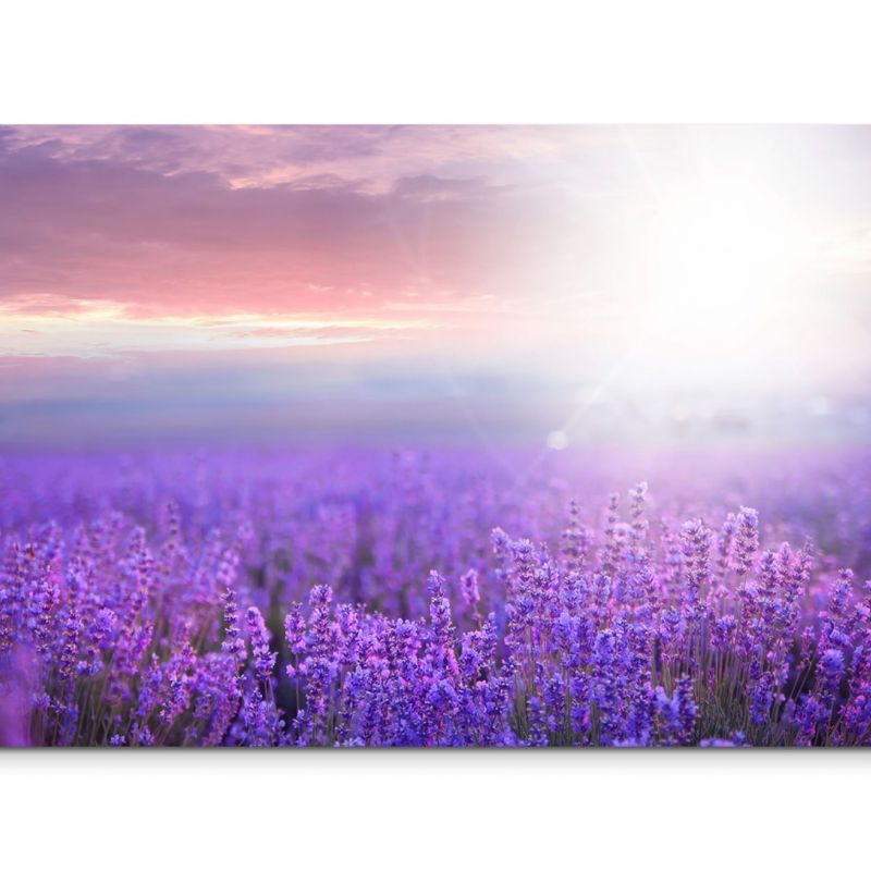 120x80cm Wandbild Lavendel Feld Sonnenuntergang Sommer