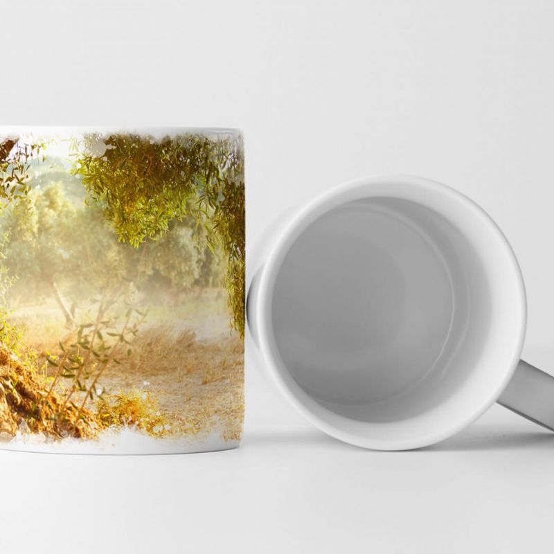 Tasse Geschenk Naturfotografie – Alter großer Olivenbaum