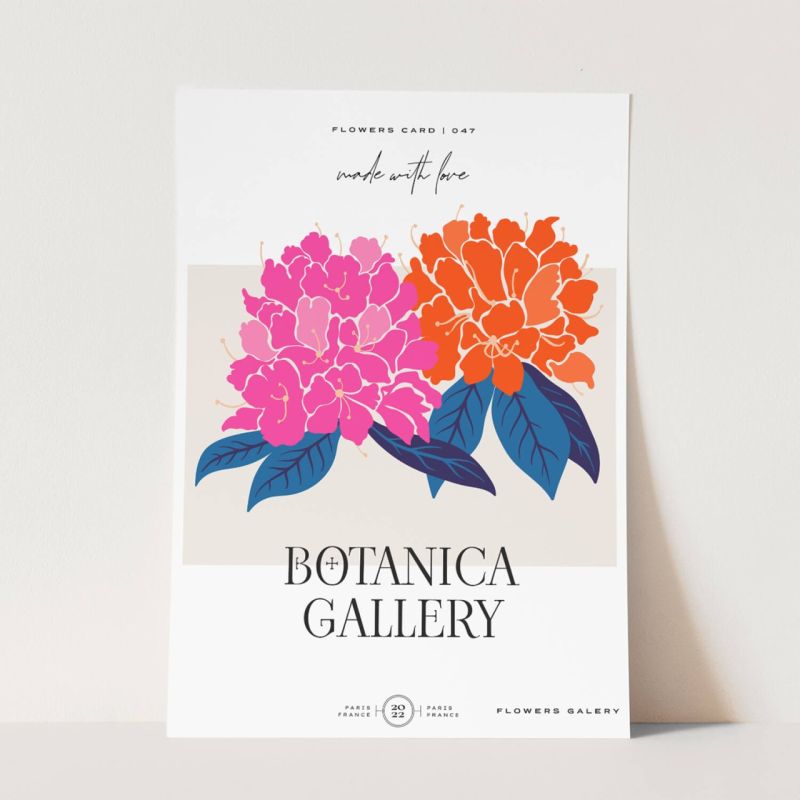 Botanica Wunderschöne Blumen Illustration Dekorativ Modern Farbenfroh