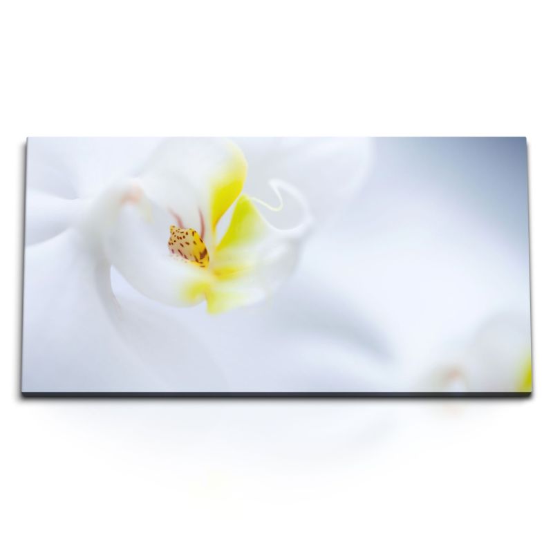 Kunstdruck Bilder 120x60cm Weiße Orchidee Blume Blüte Nahaufnahme Hell