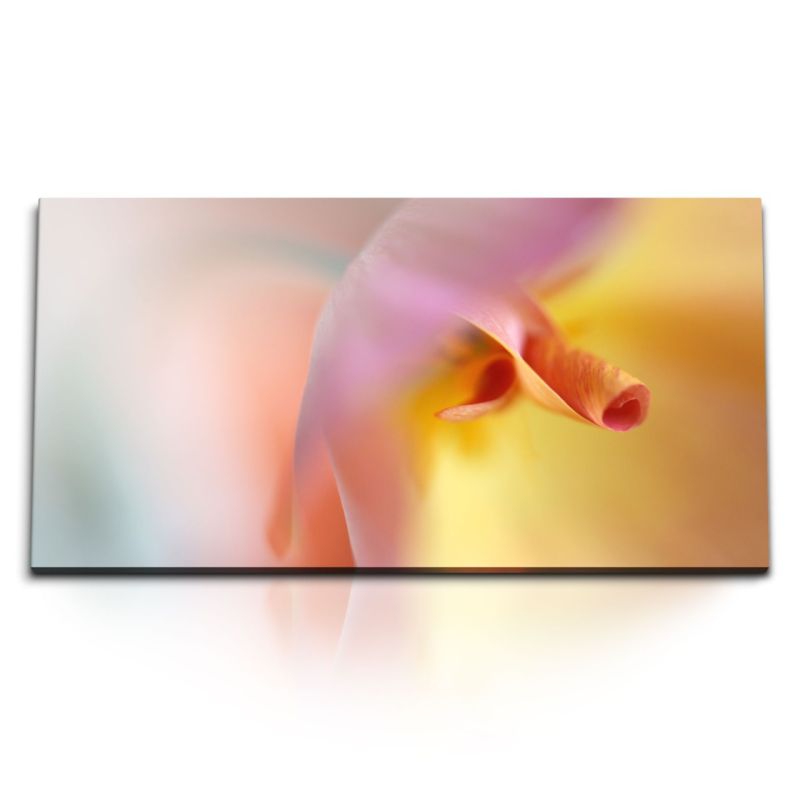 Kunstdruck Bilder 120x60cm Fotokunst Blume Blüte Makro Orange