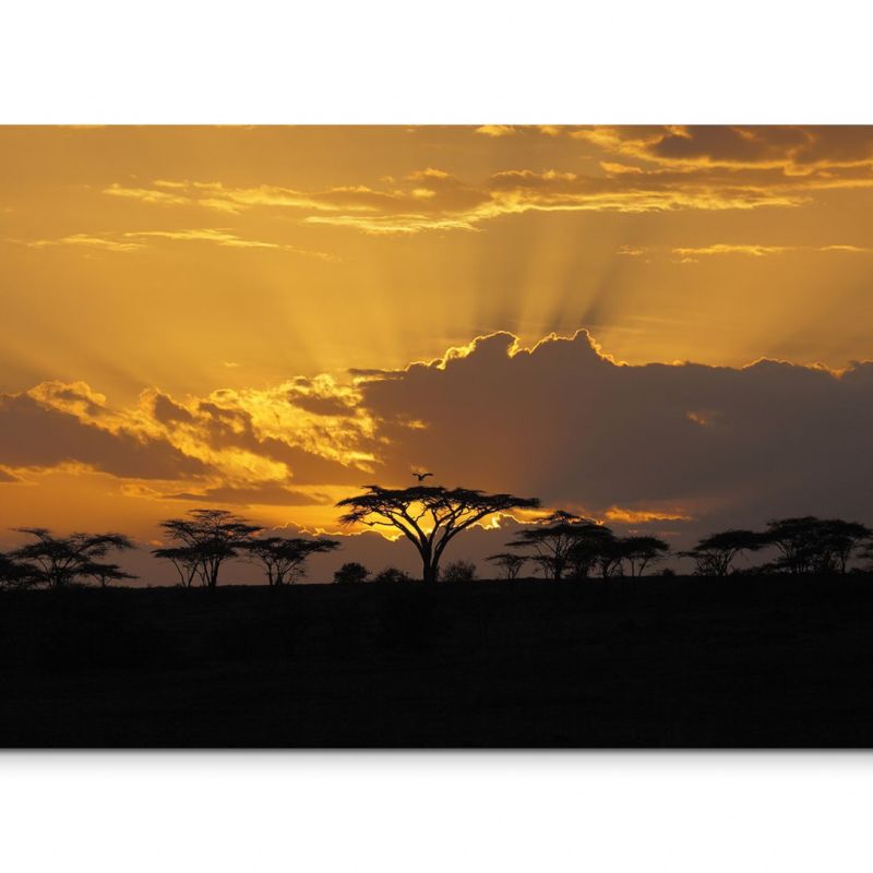 120x80cm Wandbild Afrika Akazien Bäume Sonnenuntergang