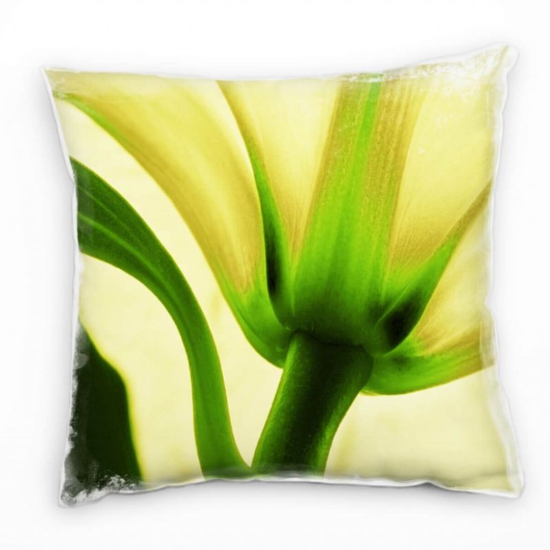 Blumen, Macro, weiß, grün, Lilie von unten Deko Kissen 40x40cm für Couch Sofa Lounge Zierkissen