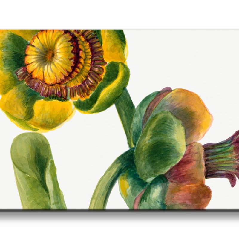 Remaster 120x60cm Botanische Vintage Illustration Blume Blüte Kunstvoll Schön