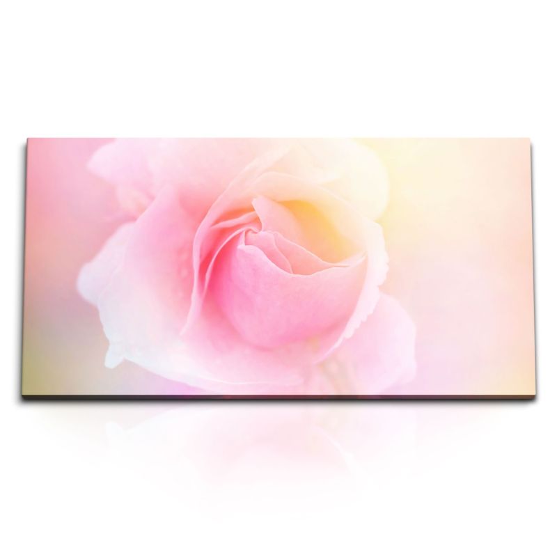 Kunstdruck Bilder 120x60cm Blume Blüte Rosa Hell Kunstvoll Rose