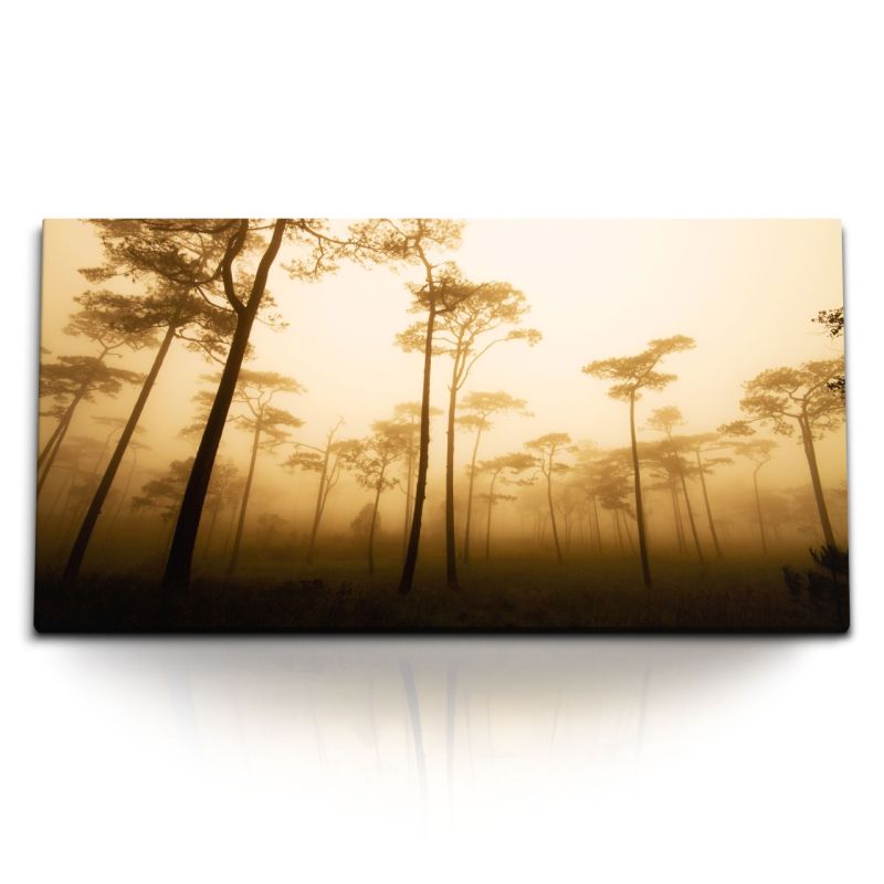 Kunstdruck Bilder 120x60cm Afrikanischer Wald Bäume Roter Himmel Nebel