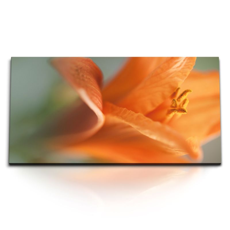 Kunstdruck Bilder 120x60cm Orange Lilie Blüte Blume Makrofotografie Kunstvoll