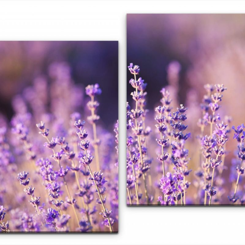 Lavendel Nahaufnahme Wandbild in verschiedenen Größen