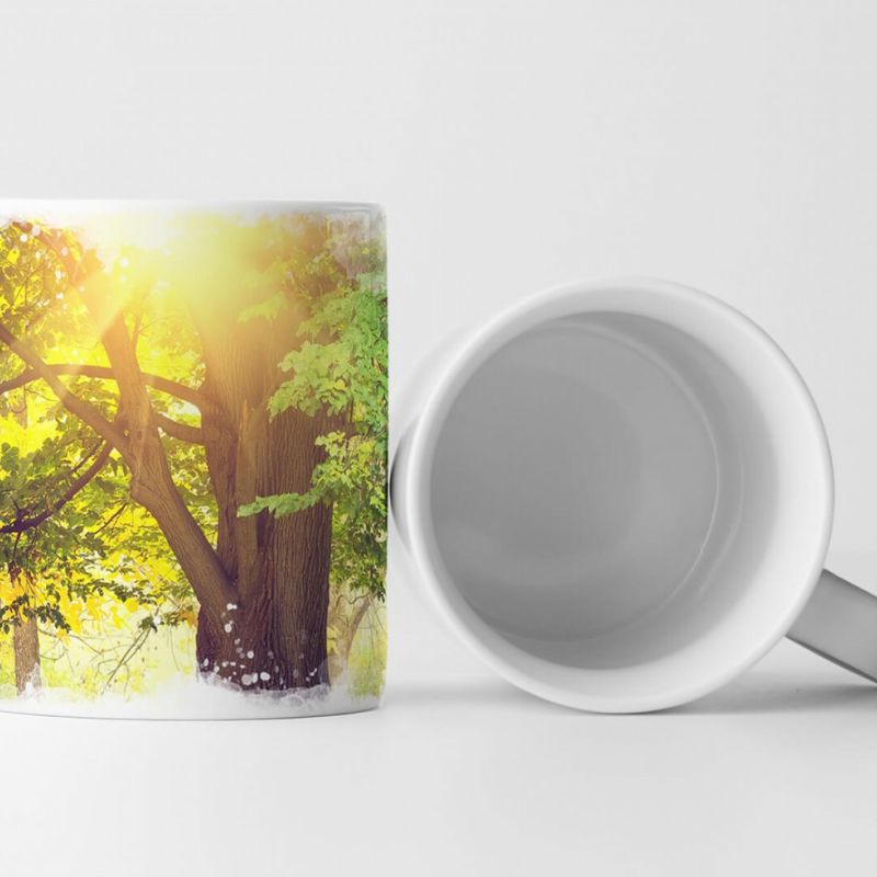 Tasse Geschenk Landschaftsfotografie – Alter Baum im sonnigen Park