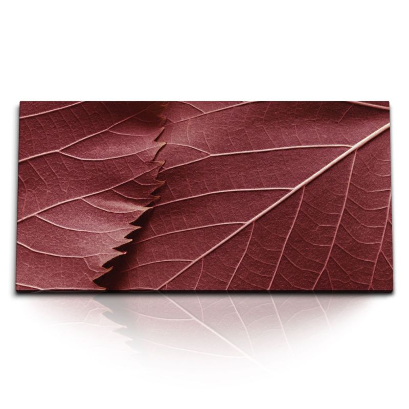 Kunstdruck Bilder 120x60cm Makrofotografie Herbstblatt Natur Blatt Baum Rot