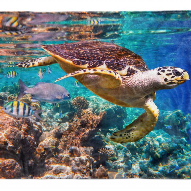 Handtuch Strandhandtuch Saunatuch Kuscheldecke  mit Tiermotiv Seeschildkröte Kor