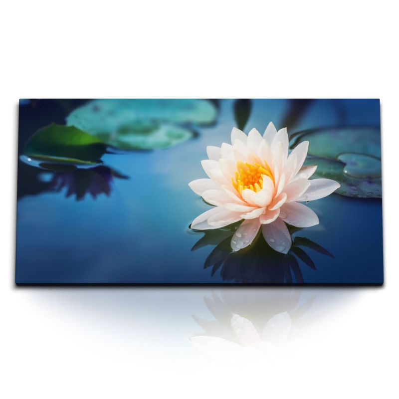 Kunstdruck Bilder 120x60cm Wasserblume Lotus Lotusblüte Teich weiße Blume