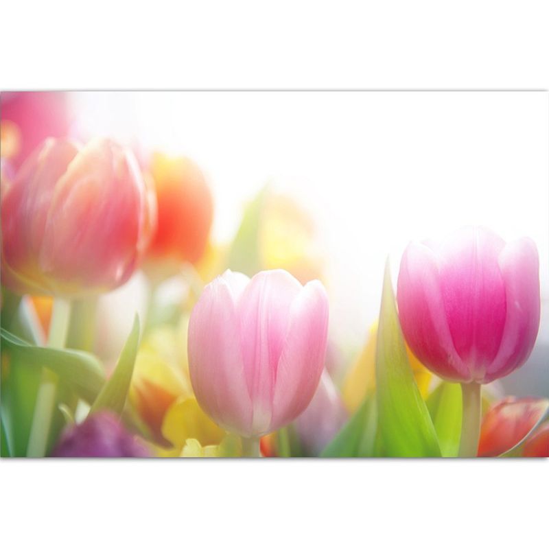 120x80cm Tulpen Blumen Frühling farbenfroh