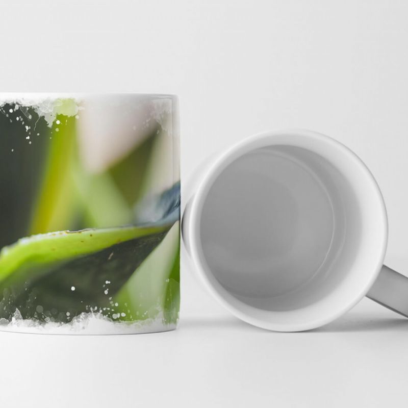 Tasse Geschenk Naturfotografie – Blätter einer Sukkulente