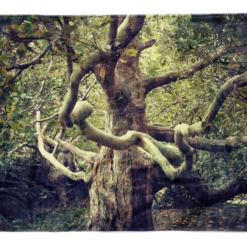 Handtuch Strandhandtuch Saunatuch Kuscheldecke  mit Fotomotiv Großer Baum Dschun