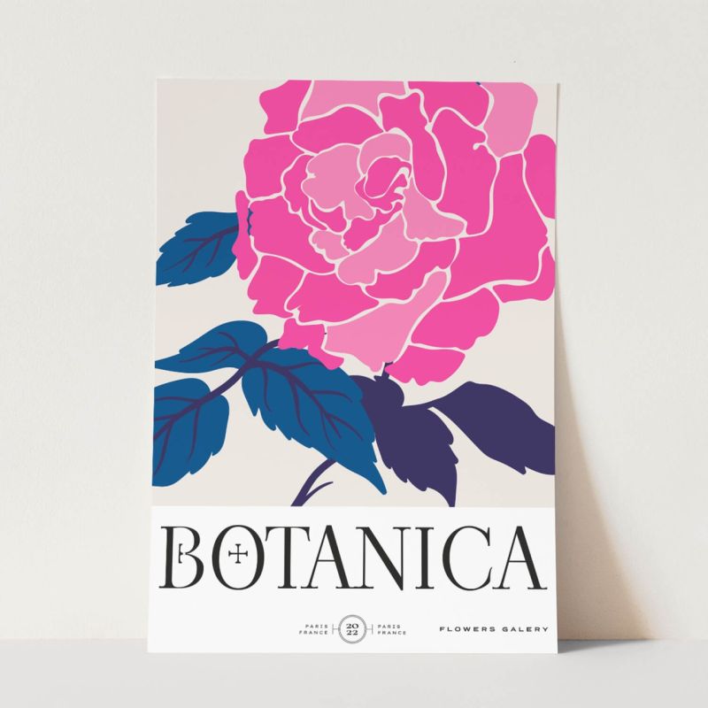 Botanica Wunderschöne Blumen Illustration Dekorativ Modern Farbenfroh