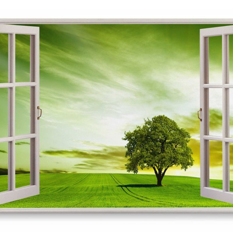 Wandbild 120x80cm Fensterbild Grüne Wiese Baum Natur Landschaft Sommer