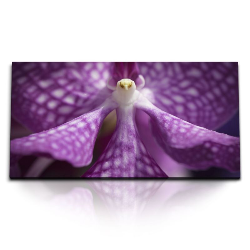 Kunstdruck Bilder 120x60cm Orchidee Violette Blume Blüte Kunstvoll Nahaufnahme