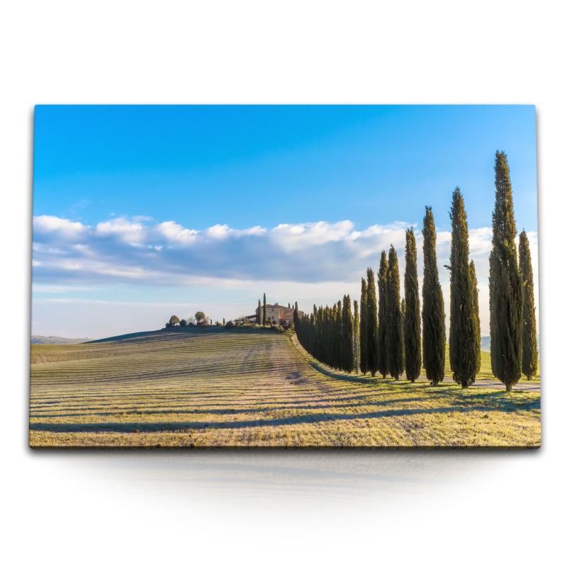 120x80cm Wandbild auf Leinwand Toskanische Landschaft Italien Bäume Finca