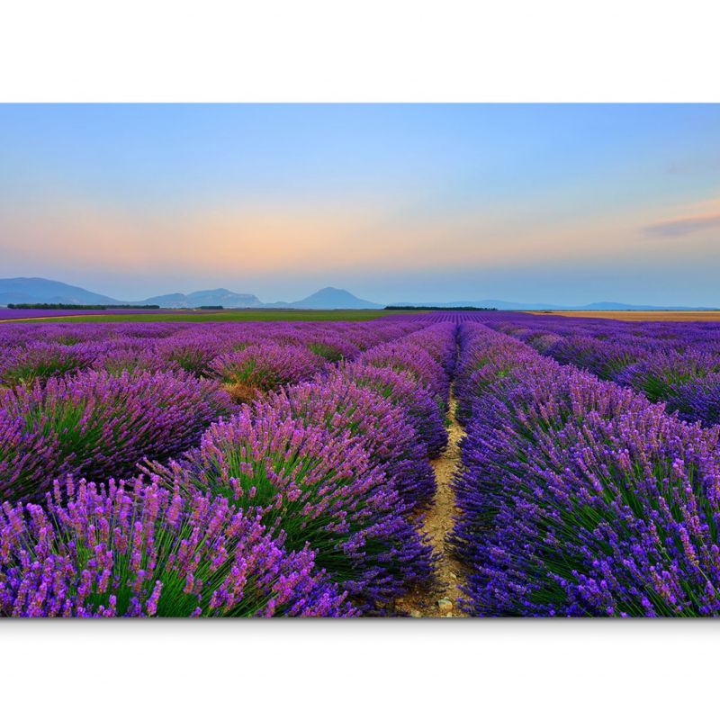 120x80cm Wandbild Provence Lavendelfeld Dämmerung