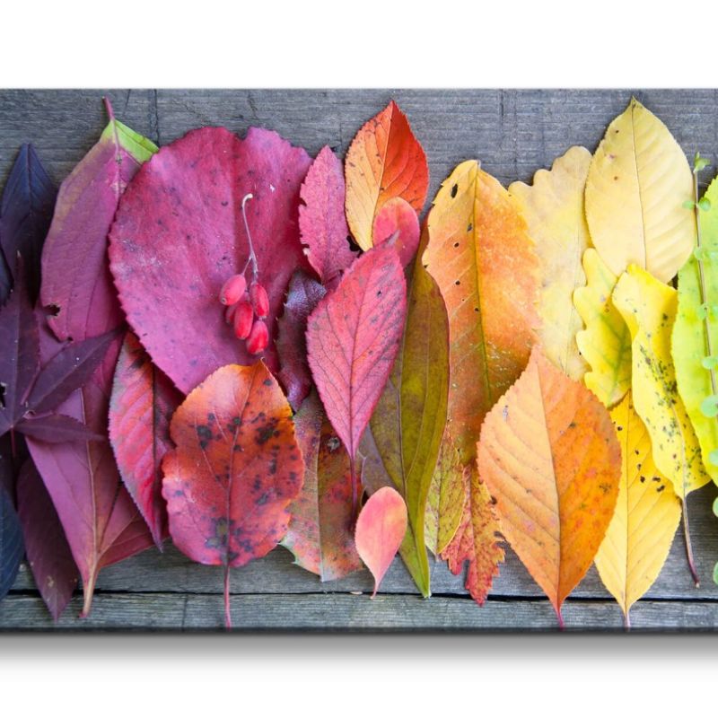 Leinwandbild 120x60cm Herbstblätter Blätter Herbst Fotokunst schöne Farben Natur