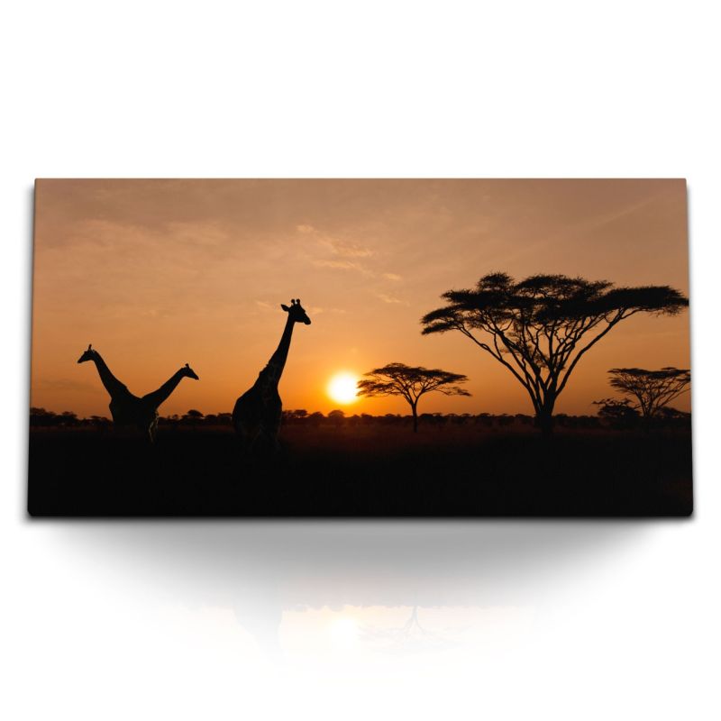 Kunstdruck Bilder 120x60cm Afrikanische Landschaft Giraffen Abendrot Sonnenuntergang