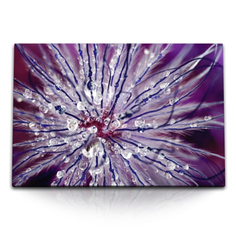 120x80cm Wandbild auf Leinwand Makrofotografie Blume mit Wassertropfen Kunstvoll Violett