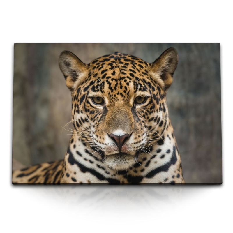 120x80cm Wandbild auf Leinwand Tierfotografie Jaguar Raubkatze Großkatze Raubtier