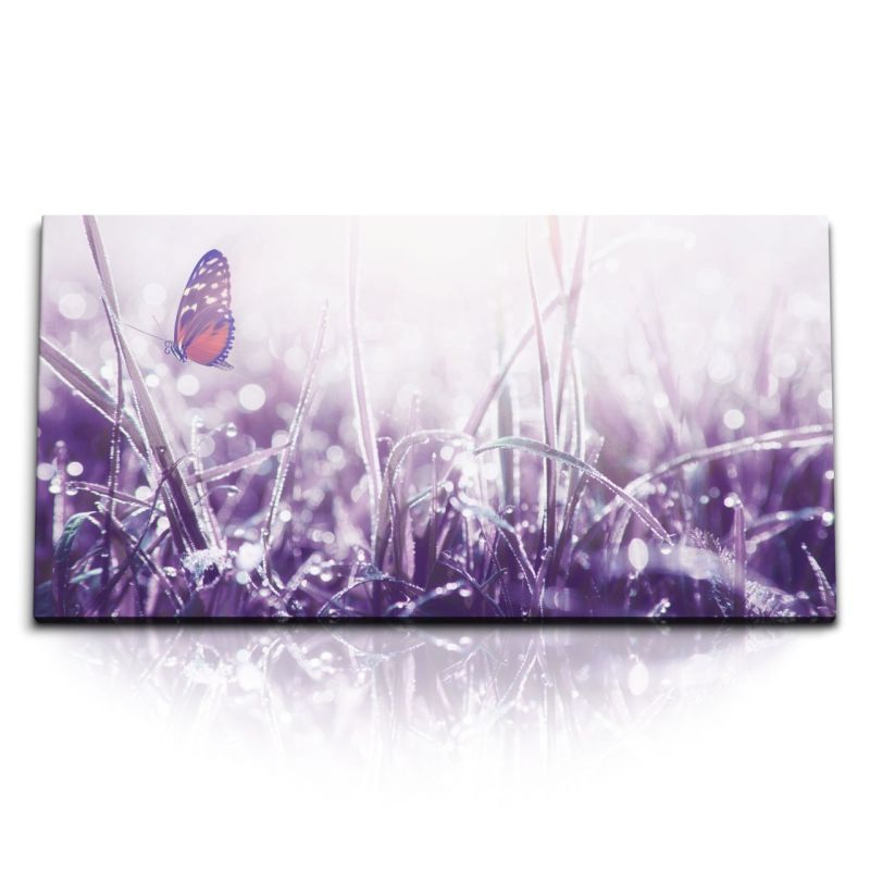 Kunstdruck Bilder 120x60cm Wiese Morgentau Schmetterling Natur Fotokunst