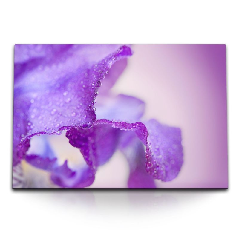 120x80cm Wandbild auf Leinwand Makrofotografie Blüte Violett Wassertropfen Kunstvoll