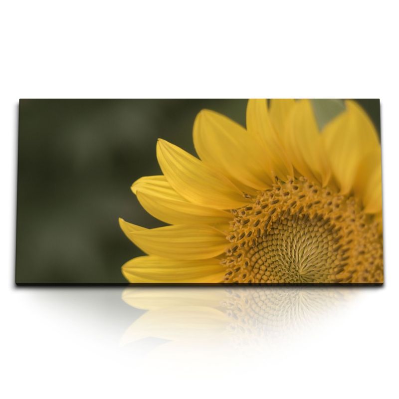 Kunstdruck Bilder 120x60cm Sonnenblume gelbe Blüte Blume Natur Grün