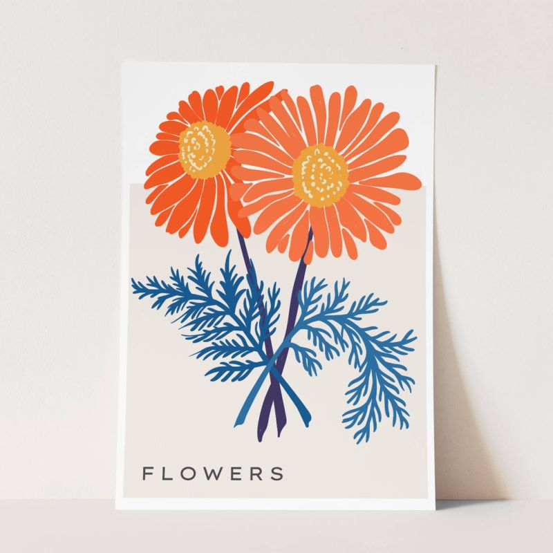 Botanica Wunderschöne Blumen Illustration Dekorativ Modern Farbenfroh