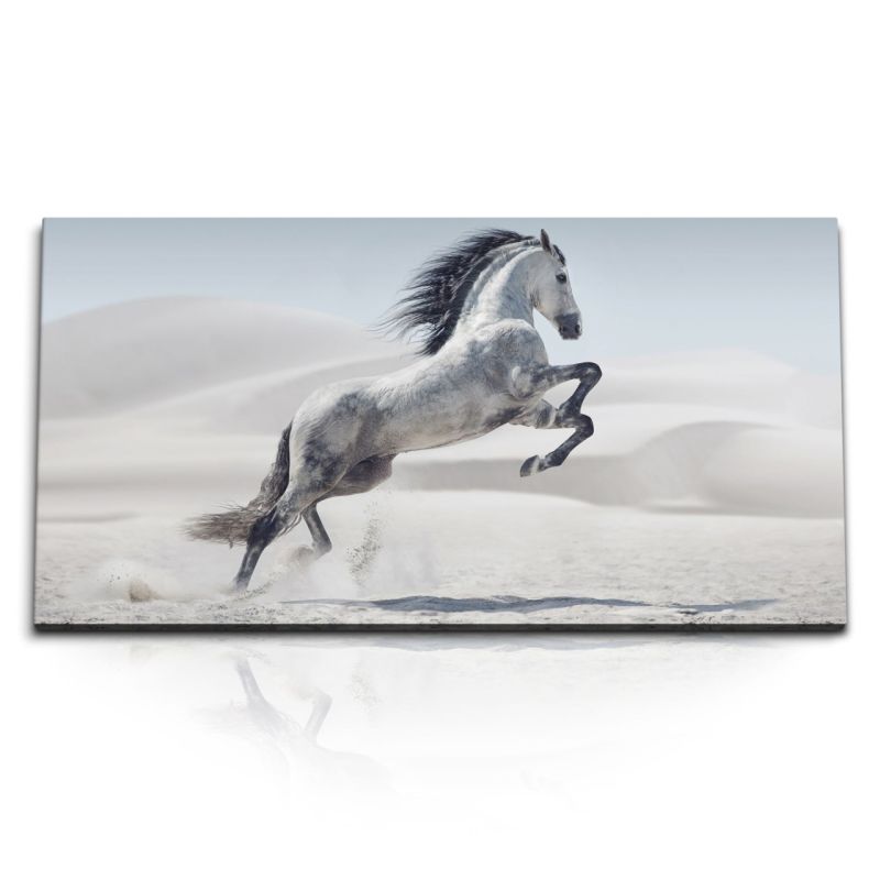 Kunstdruck Bilder 120x60cm Arabisches Pferd Wild Wüste Hengst Weiß