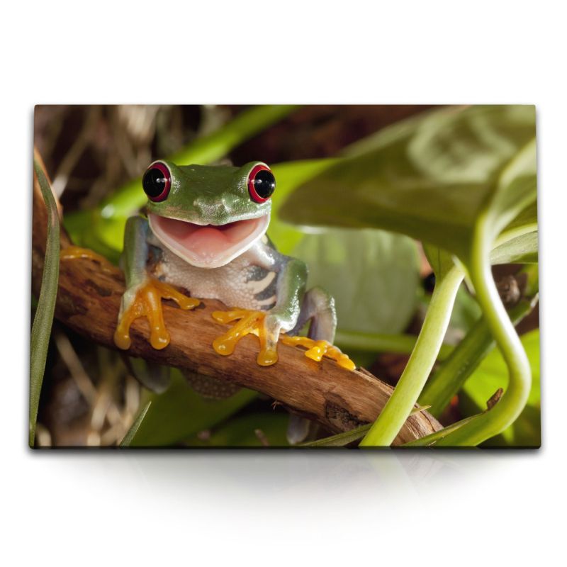 120x80cm Wandbild auf Leinwand Kleiner Frosch im Dschungel Tropisch Exotisch