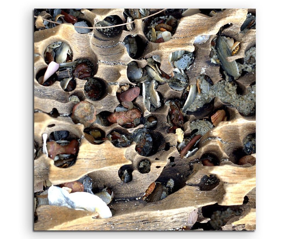 Naturfotografie –  Holz und Muscheln am Strand auf Leinwand