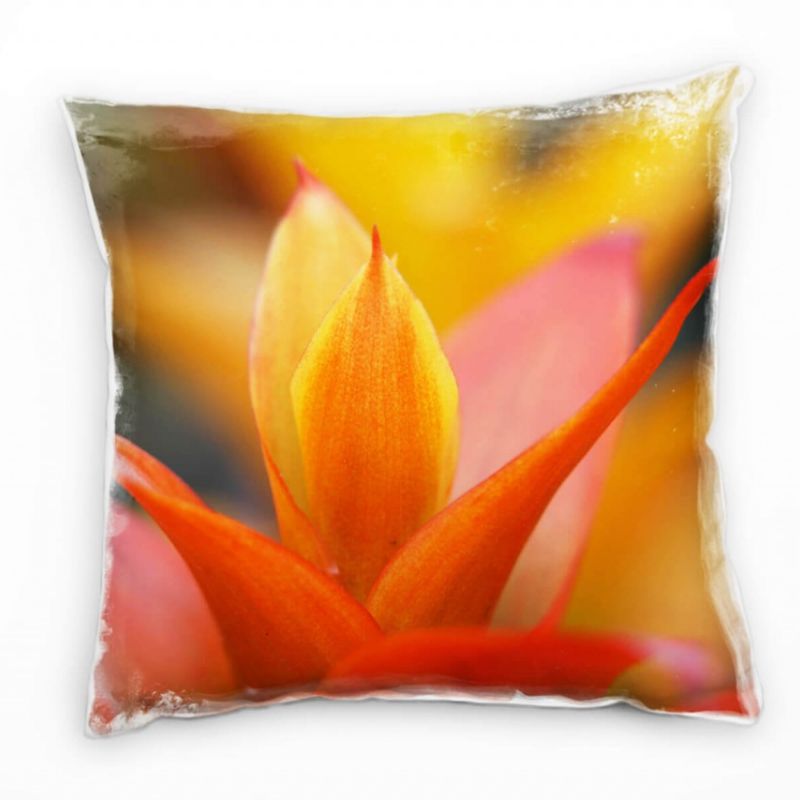 Macro, Blumen, rot, gelb, Guzmania Deko Kissen 40x40cm für Couch Sofa Lounge Zierkissen