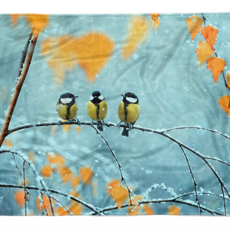 Handtuch Strandhandtuch Saunatuch Kuscheldecke  mit Tiermotiv Kleine Vögel Winte