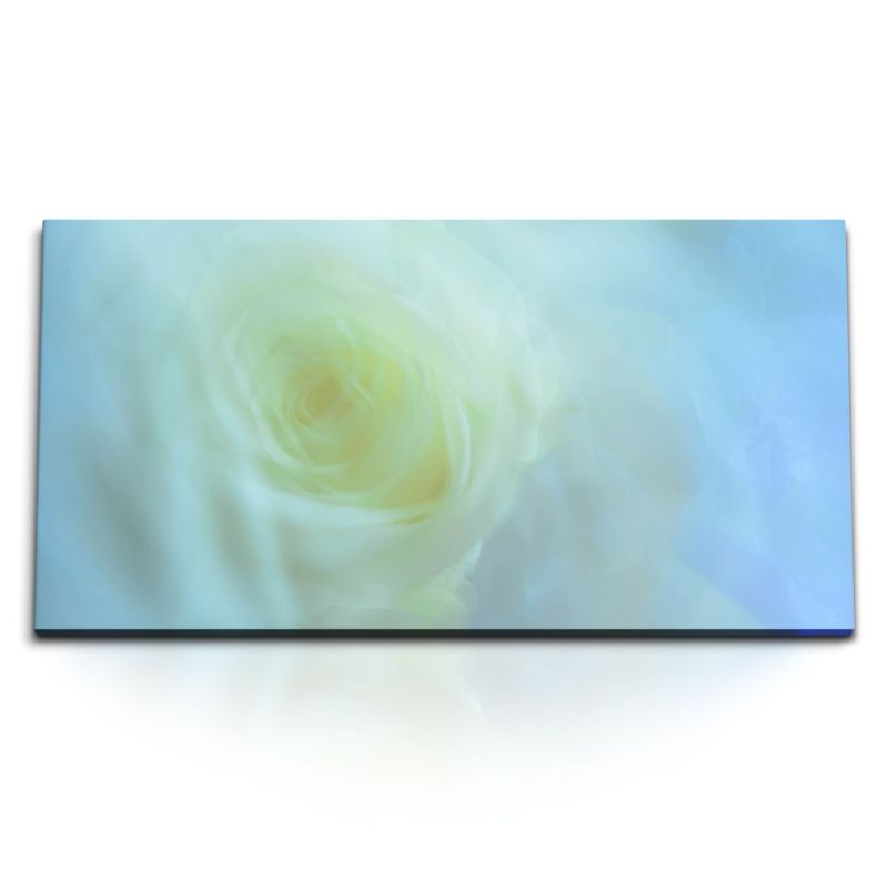 Kunstdruck Bilder 120x60cm Makrofotografie Fotokunst Blüte Blume Hellblau