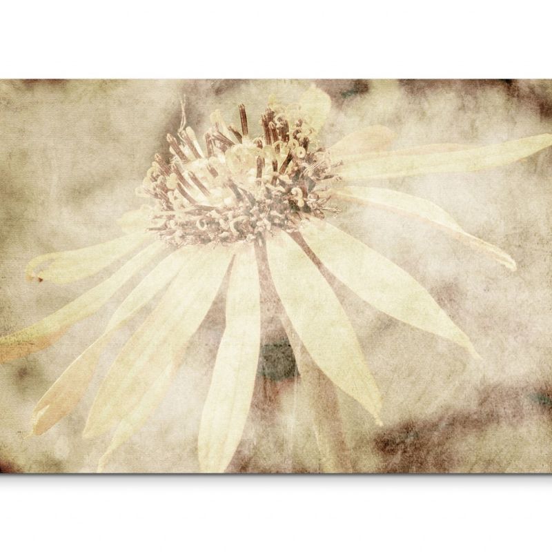 120x80cm Wandbild Blüte sepia vintage