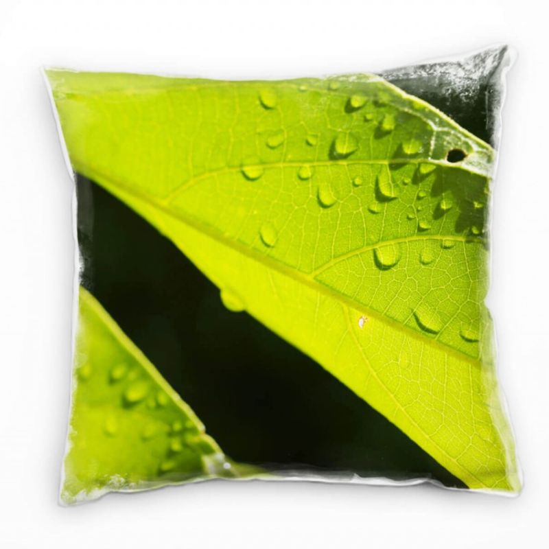 Macro, Blatt, Wassertropfen, grün Deko Kissen 40x40cm für Couch Sofa Lounge Zierkissen