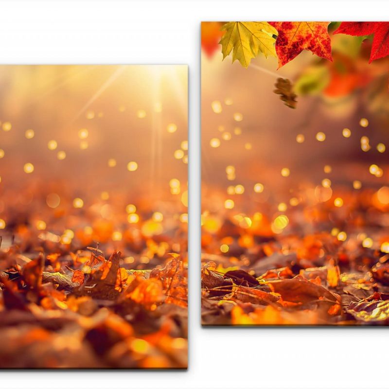 Herbstwald mit Sonnenuntergang Wandbild in verschiedenen Größen