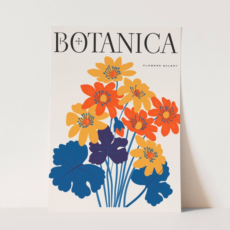 Botanica Wunderschöne Blumen Illustration Dekorativ Modern Farbenfroh