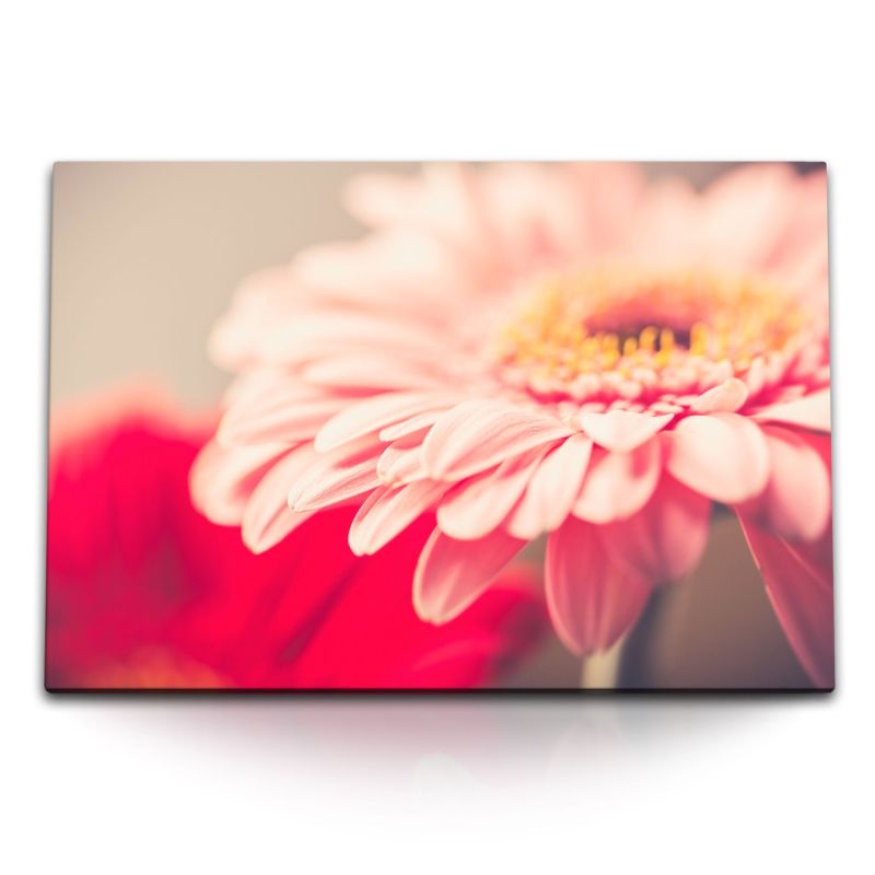 120x80cm Wandbild auf Leinwand Gerbera Blume Blüte Makrofotografie Kunstvoll Sonnenschein