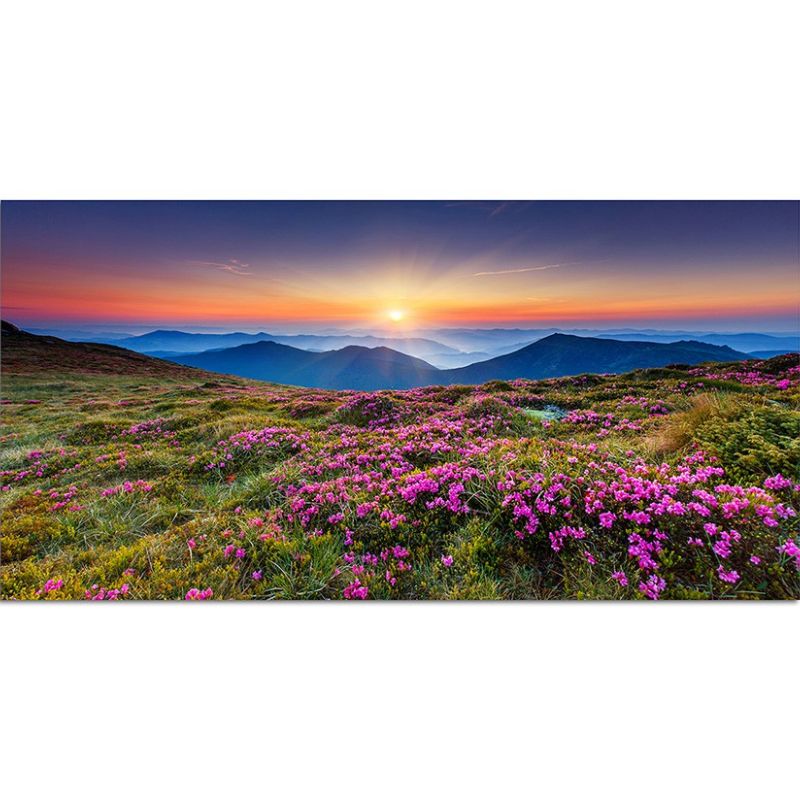 120x60cm Ukraine Blumenwiese Berge Sonne Natur