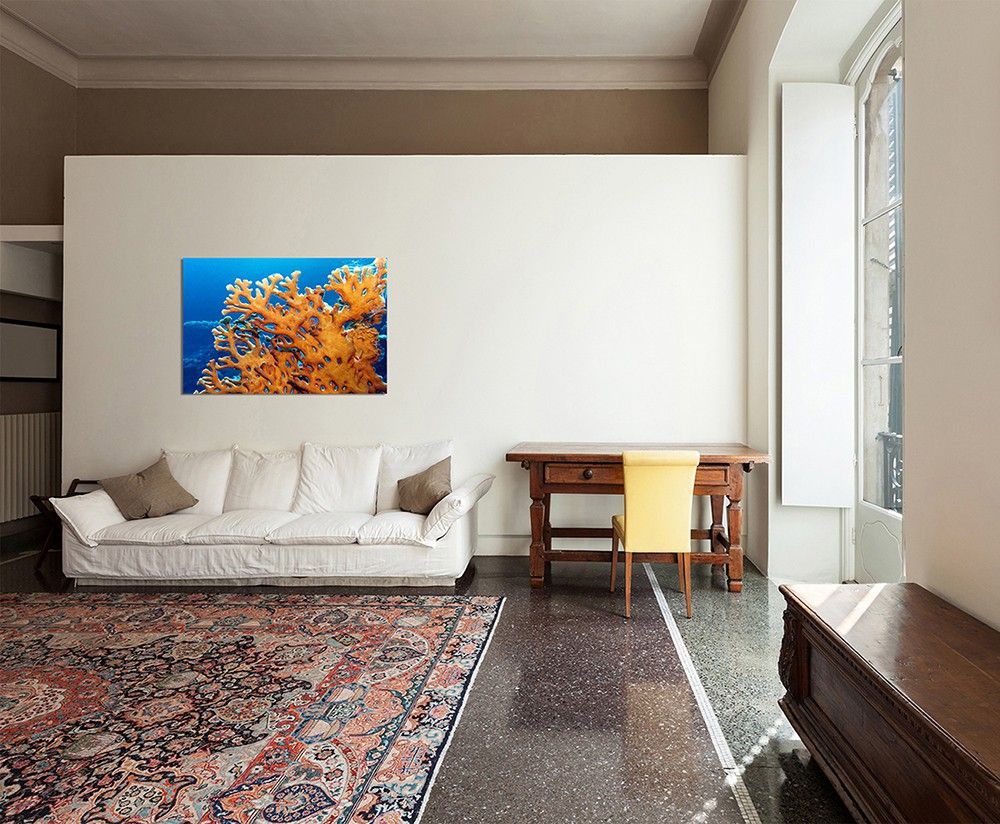 120x60cm Hongkong Meer Hafen Boote Gebäude, 120x60cm Meer Eisberg Unterwasser, 120x60cm Meer Felsen Sonnenaufgang Wolken, 120x60cm Meer Ozean Sonnenaufgang Fels, 120x60cm Meer Sonnenuntergang Horizont Abendrot, 120x60cm Meer Wasser Sonnenaufgang Himmel, 120x60cm Meer Welle Sturm Brandung Leuchtturm, 120x60cm Meer Wellen Sturm Wolken Malediven, 120x60cm Santorini Bucht Blumen Meer Felsen, 120x60cm Seychellen Granitfelsen Strand Meer, 120x60cm Strand Meer Möwen Himmel Sonne, 120x60cm Strand Meer Muscheln Seestern Sand, 120x60cm Strand Meer Palmen Sonnenuntergang, 120x60cm Strand Meer Sonnenuntergang Landschaft, 120x60cm Strand Meer Wasser Wolken Nebel, 120x80cm Amalfi Italien Meer Küste Dorf Hafen Boote, 120x80cm Berge Meer Sonnenaufgang Natur, 120x80cm Boote Strand Meer Wolken Sonnenstrahlen, 120x80cm Bucht Meer Palmen Berge Abendlicht, 120x80cm Fische Wasser Sand Rotes Meer exotisch, 120x80cm Griechenland Ort Häuser Vollmond Meer, 120x80cm Halong Vietnam Fels Meer Himmel Wolken, 120x80cm Italien Meer Küste Dorf Wolkenhimmel, 120x80cm Korallen Riff Fische Unterwasser Meer, 120x80cm Meer Abendrot Fischerboot, 120x80cm Meer Felsen Stadt Nebel Dunst, 120x80cm Meer Felsen Ukraine Sonnenaufgang, 120x80cm Meer Himmel Sonne Wolkenschleier, 120x80cm Meer Himmel Sonnenuntergang Wolken, 120x80cm Meer Horizont Himmel Abendrot, 120x80cm Meer Koralle Riff Unterwasser, 120x80cm Meer Segelboot Yacht Sonnenuntergang, 120x80cm Meer Sonnenuntergang Himmel Steine, 120x80cm Meer Stadt Kiew Lichter Himmel Wolken, 120x80cm Meer Steine Landschaft Himmel Tasmanien, 120x80cm Meer Sturm Himmel Wolken dunkel, 120x80cm Meer Sturm Wellen Wolken, 120x80cm Meer Sturm Wolken Wellen, 120x80cm Meer Wasser Eisberg, 120x80cm Meer Wellen Sturm Leuchtturm, 120x80cm Meer Wellen Sturm Wolken dunkel, 120x80cm Morgendämmerung Meer Steine, 120x80cm Santorini Dom Häuser Meerblick, 120x80cm Schiffswrack Meer Strand Himmel, 120x80cm Sonnenuntergang Meer Nebel, 120x80cm Sonnenuntergang Meer Wolken, 120x80cm Sonnenuntergang Strand Meer Steg, 120x80cm Sri Lanka Strand Meer Himmel, 120x80cm Steg Wasser Meer Himmel Sonne Licht, 120x80cm Strand Meer Berge Natur, 120x80cm Strand Meer Palme Sonnenuntergang, 120x80cm Strand Meer Sand Steile Nebel, 120x80cm Strand Meer Sonnenuntergang, 120x80cm Strand Meer Steine Abenddämmerung, 120x80cm Strand Meer Wasser Wellen Sonne, 120x80cm Strand Meer Wellen Farben abstrakt, 120x80cm Strand Meer Wellen Sonnenuntergang, 120x80cm Tropen Strand Meer Sonnenuntergang, 120x80cm Wandbild Afrika Kapstadt Berge Meer Wolken, 120x80cm Wandbild Afrika Kapstadt Meer Nebel, 120x80cm Wandbild Australien Strand Meer Wrack Dämmerung, 120x80cm Wandbild Griechenland Felsen Meer Strand Boote, 120x80cm Wandbild Griechenland Meer Bucht Strand Felsen, 120x80cm Wandbild Holland Nordsee Meer Strand Sonnenuntergang