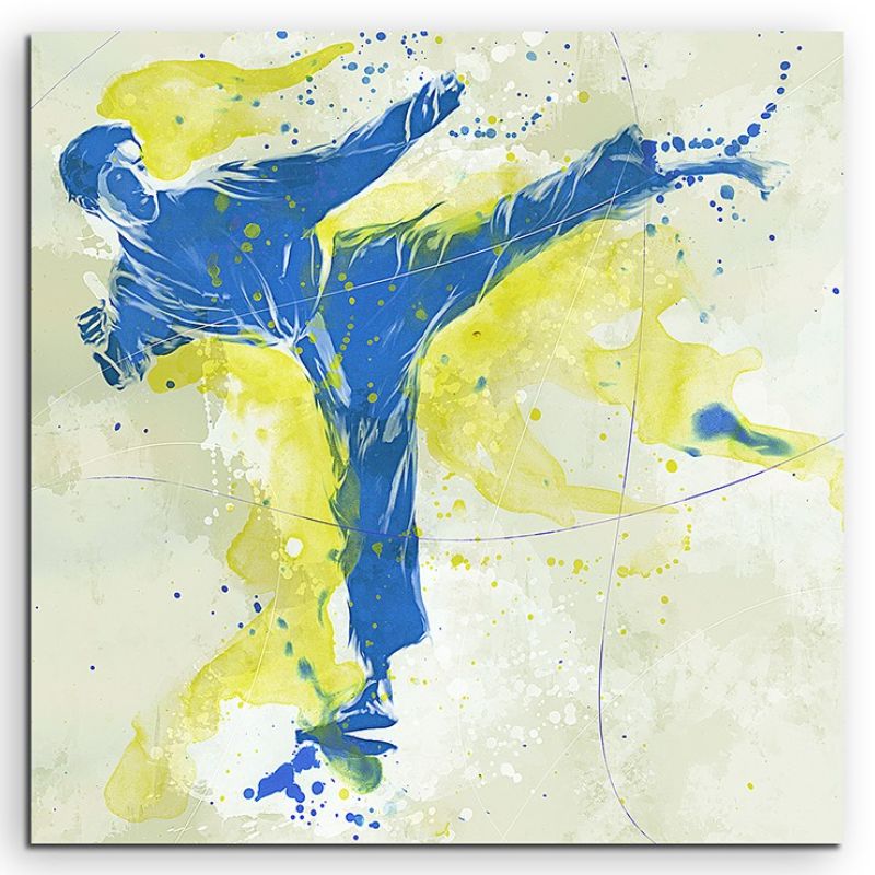 Karate I 60x60cm SPORTBILDER Paul Sinus Art Splash Art Wandbild Aquarell Art