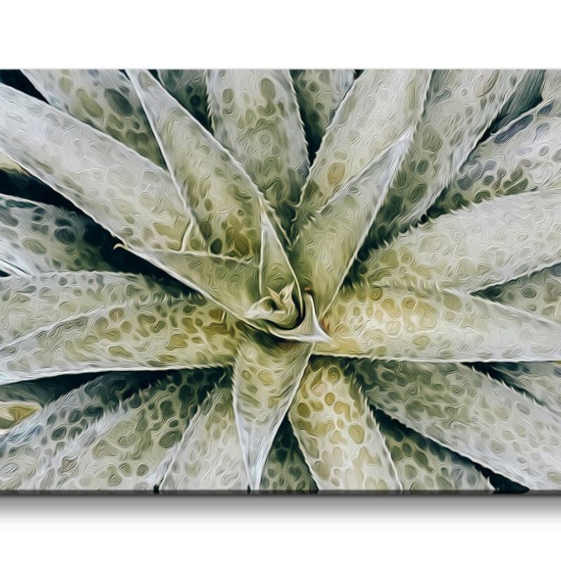 Leinwandbild 120x60cm Aloe Vera Kunstvoll Dekorativ Pflanze Schön