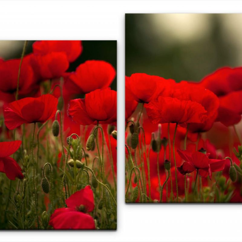 rote Blumen Wandbild in verschiedenen Größen