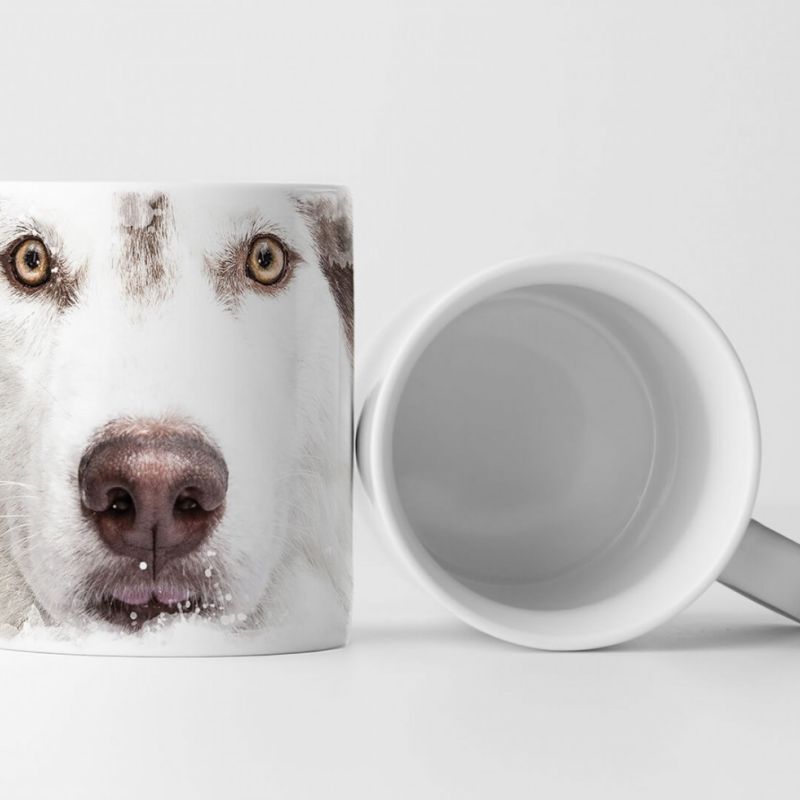 Tasse Geschenk Tierfotografie – Sibirischer Husky mit braunen Augen im Porträt