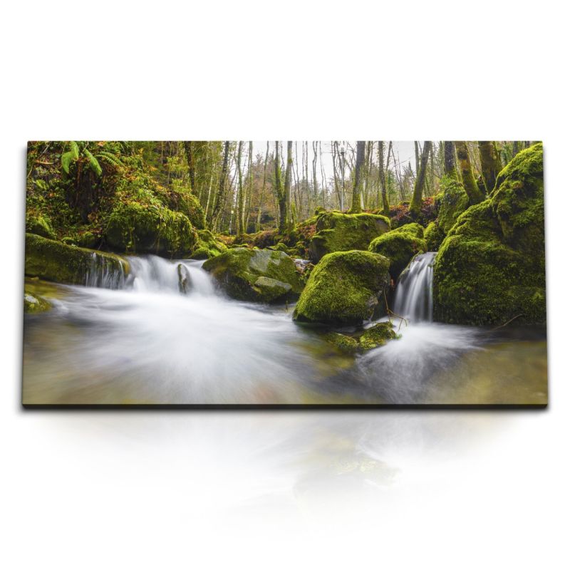 Kunstdruck Bilder 120x60cm Bach Wald Wasserfall Grün Moos Natur